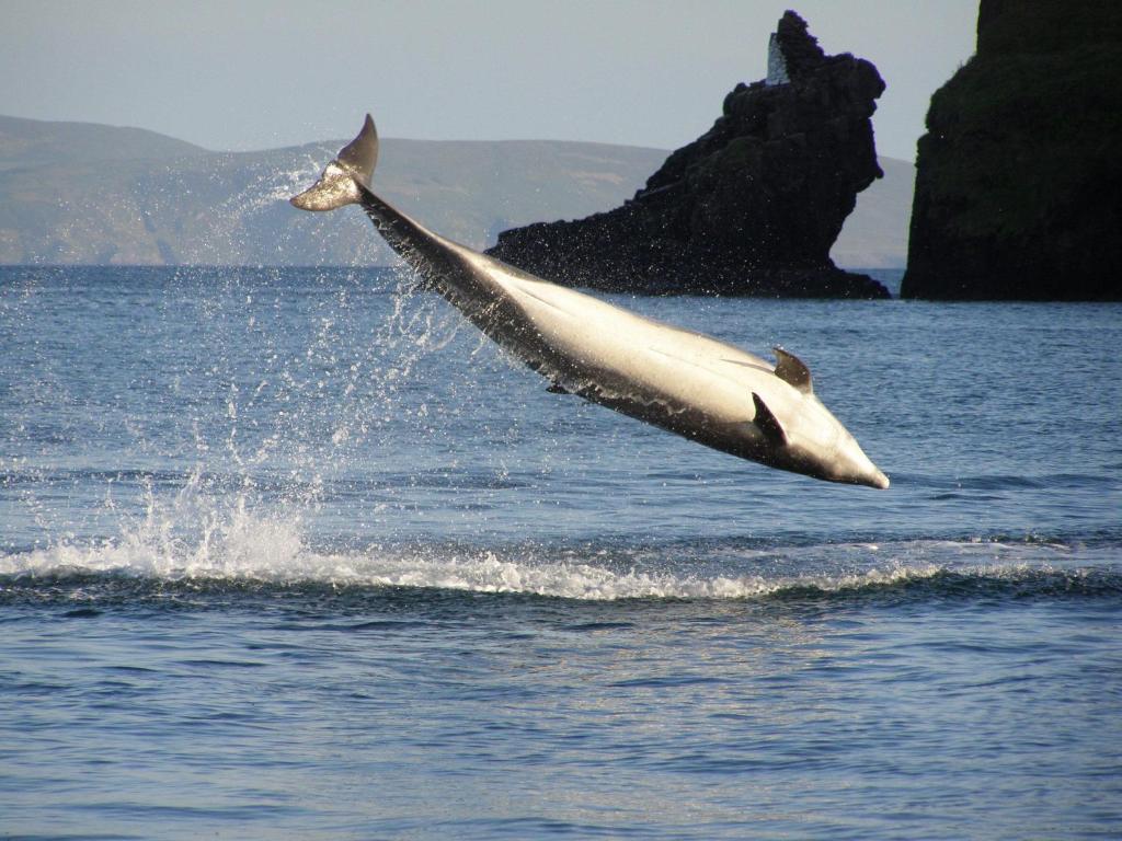 Dingle Skellig Hotel エクステリア 写真